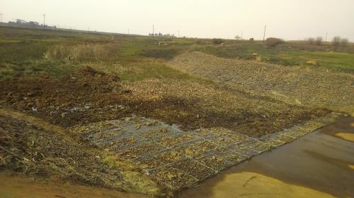 Gabion installation @ Power Station